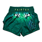 Fairtex Shorts BS1913