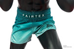 Fairtex Shorts BS1906