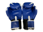 Raja Boxing Gloves BGL Letters Blue White
