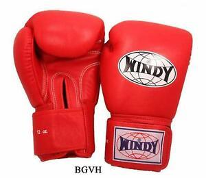 Windy Boxing Gloves BGVH RD