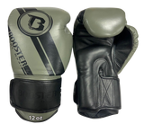 Booster Boxing Gloves BGL V3 GY BK