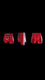 BOOSTER SHORTS TBT PRO 3 Red